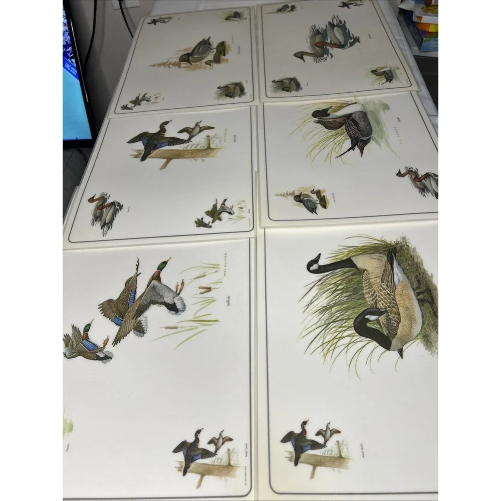 6 Vtg 1969 Placemats & Descriptions Mel Hunter Ducks Mallard Winged Teal 17x11